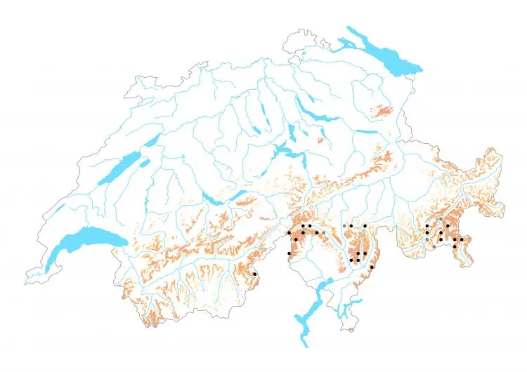 Carte de distribution: Moiré des Grisons &mdash; Erebia flavofasciata