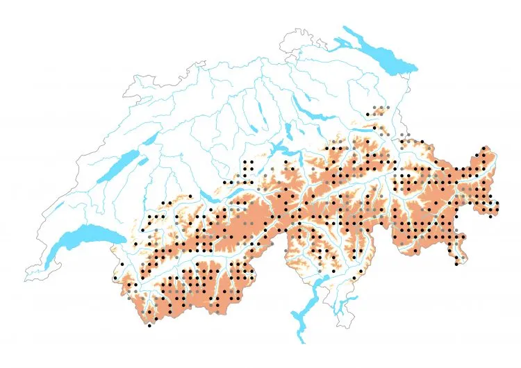 Carte de distribution: Moiré chamoisé &mdash; Erebia gorge