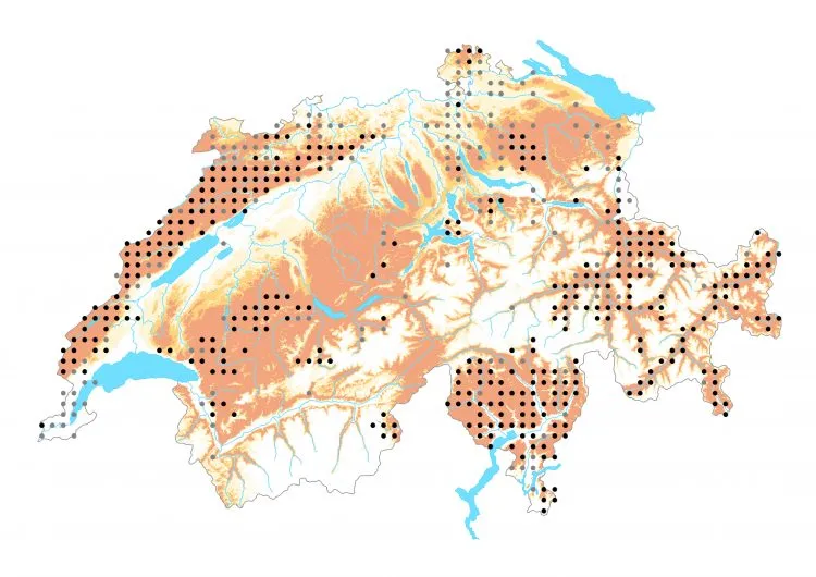 Carte de distribution: Moiré franconien &mdash; Erebia medusa