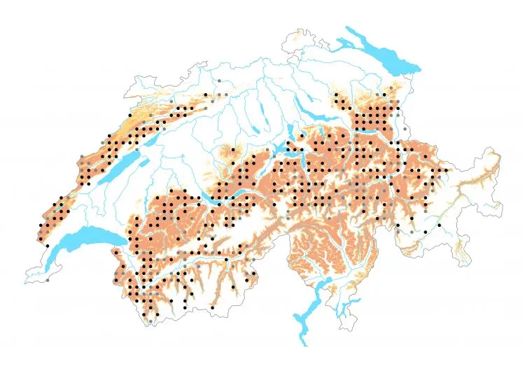 Carte de distribution: Moiré des fétuques &mdash; Erebia meolans