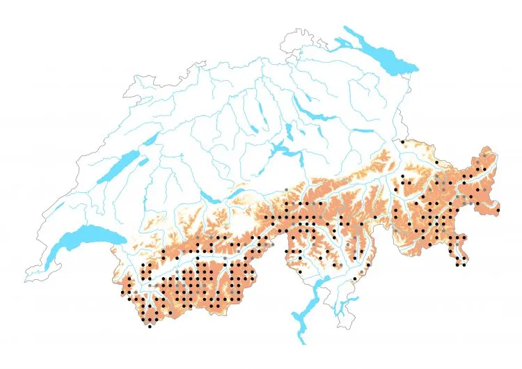 Carte de distribution: Moiré fauve &mdash; Erebia mnestra