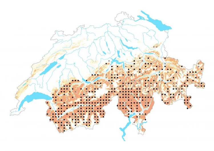 Carte de distribution: Moiré striolé &mdash; Erebia montana