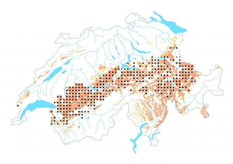 Carte de distribution: Moiré des luzules &mdash; Erebia oeme