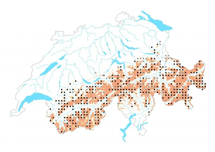 Carte de distribution: Moiré cendré &mdash; Erebia pandrose
