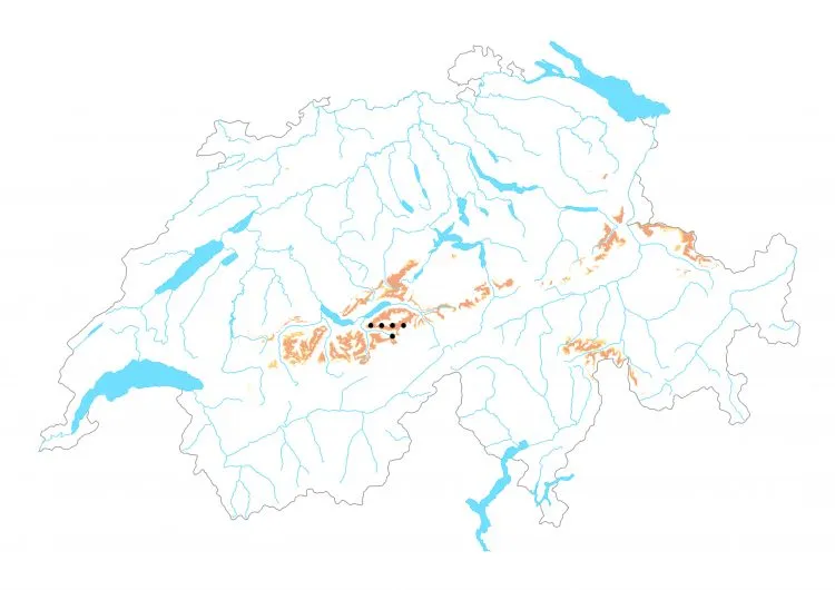Carte de distribution: Moiré des Sudètes &mdash; Erebia sudetica