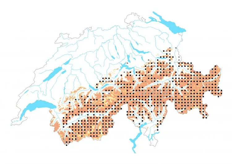 Carte de distribution: Moiré cuivré &mdash; Erebia tyndarus