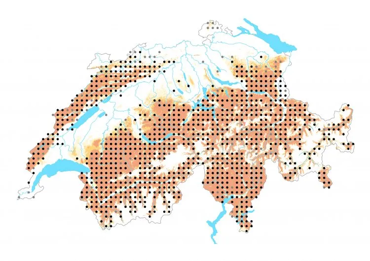 Carte de distribution: Némusien — Lasiommata maera