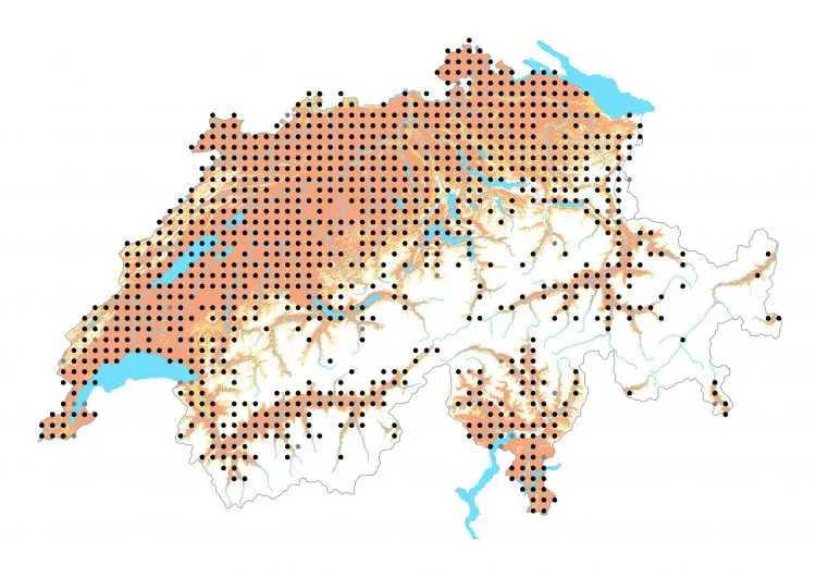 Carte de distribution: Mégère — Lasiommata megera