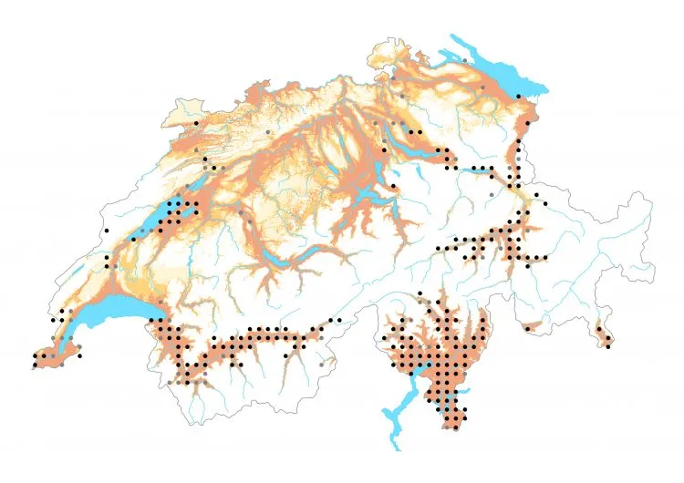 Carte de distribution: Grand Nègre des bois &mdash; Minois dryas