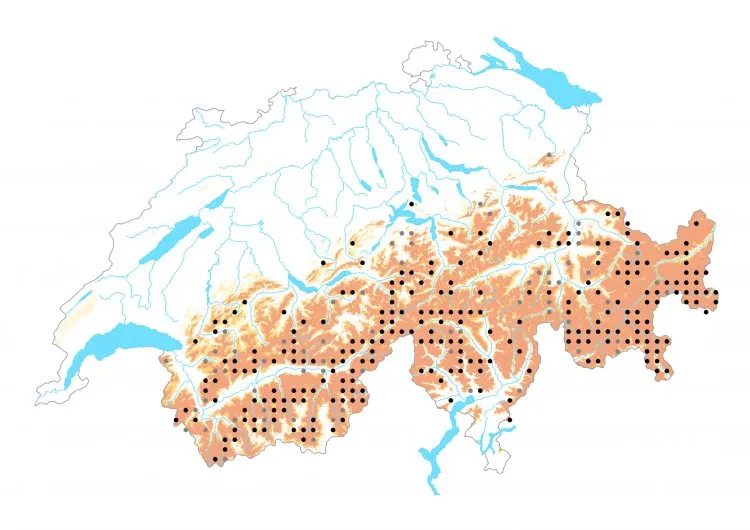 Carte de distribution: Chamoisé des glaciers &mdash; Oeneis glacialis
