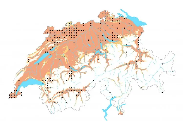 Carte de distribution: Piéride irlandaise — Leptidea juvernica