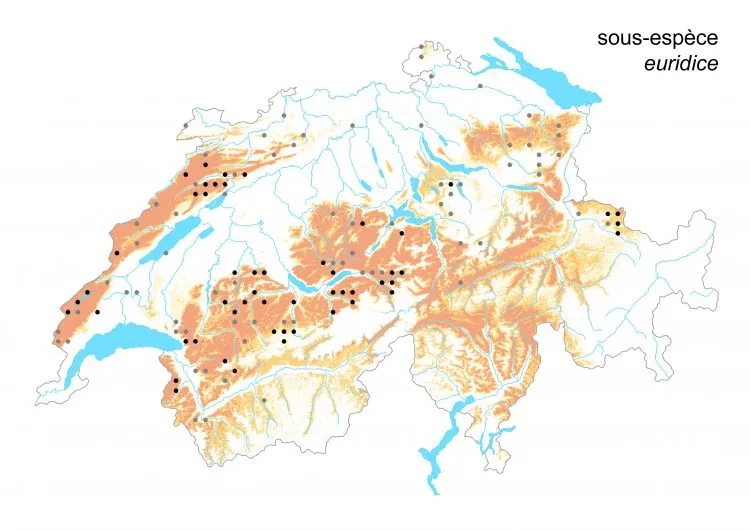 Carte de distribution: Cuivré écarlate &mdash; Lycaena hippothoe
