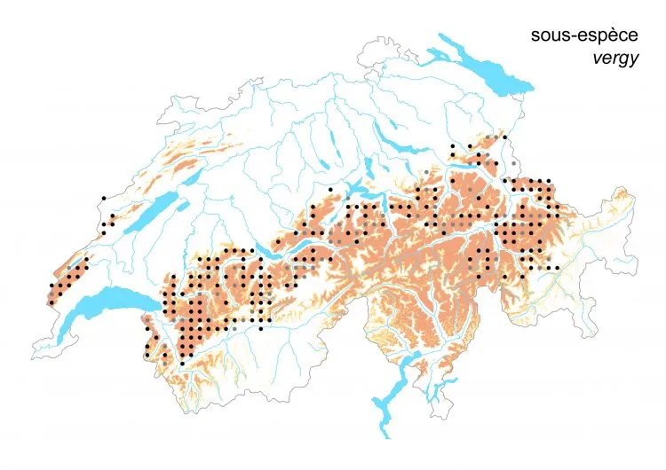Carte de distribution: Moiré fontinal &mdash; Erebia pronoe