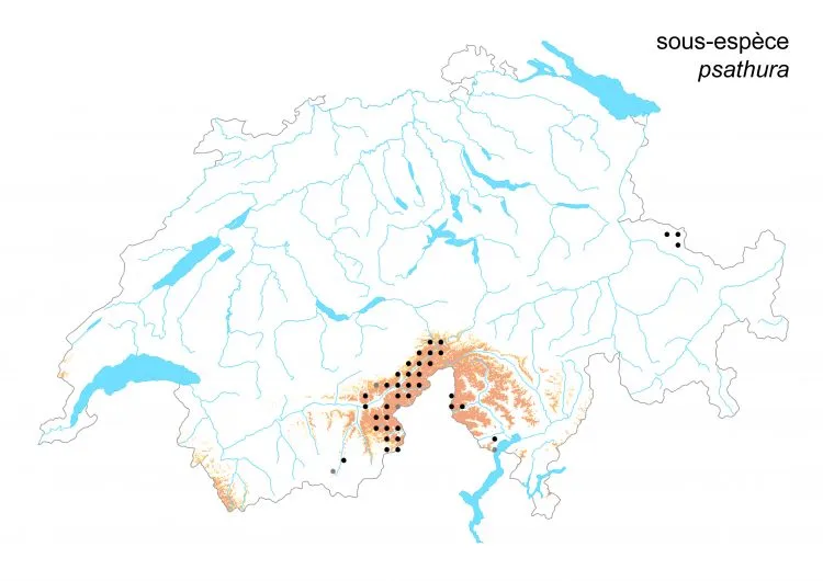 Carte de distribution: Moiré fontinal &mdash; Erebia pronoe